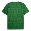Maillot Manchester City Pre-Match Verte 2025-26