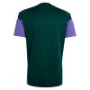 Arabie saoudite Coupe du Monde 2026 Maillot d'Entraînement Verte