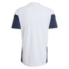 Argentine Coupe du Monde 2026 Maillot d'Entraînement Blanche
