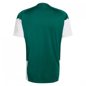 Italie Coupe du Monde 2026 Maillot d'Entraînement Verte