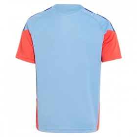 Japon Coupe du Monde 2026 Maillot d'Entraînement Bleue
