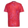 Maillot Costa Rica Domicile Coupe du Monde 2026