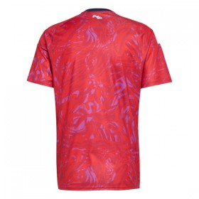 Maillot Costa Rica Domicile Coupe du Monde 2026