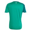 Maillot Irlande Du Nord Domicile Coupe du Monde 2026