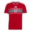 Maillot Pays de Galles Domicile Coupe du Monde 2026