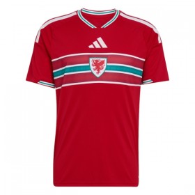 Maillot Pays de Galles Domicile Coupe du Monde 2026