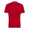 Maillot Pays de Galles Domicile Coupe du Monde 2026