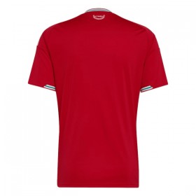 Maillot Pays de Galles Domicile Coupe du Monde 2026