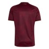 Maillot Venezuela Domicile Coupe du Monde 2026