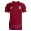 Maillot Italie Gardien Domicile Coupe du Monde 2026 Rouge Maillot Italie Gardien Domicile Coupe du Monde 2026 Rouge