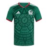 Maillot Mexique Domicile Coupe du Monde 2026