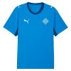 Maillot Islande Domicile Coupe du Monde 2026