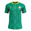 Maillot Sénégal Exterieur Coupe du Monde 2026