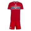 Maillot Pays de Galles Enfant Domicile Coupe du Monde 2026