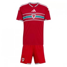 Maillot Pays de Galles Enfant Domicile Coupe du Monde 2026
