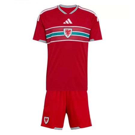Maillot Pays de Galles Enfant Domicile Coupe du Monde 2026