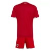 Maillot Pays de Galles Enfant Domicile Coupe du Monde 2026