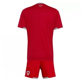 Maillot Pays de Galles Enfant Domicile Coupe du Monde 2026