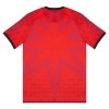 Maillot Venezia Quatrième 2025-26