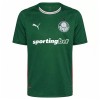 Maillot Palmeiras Domicile 2026-27