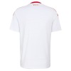 Maillot Toronto FC Exterieur 2026