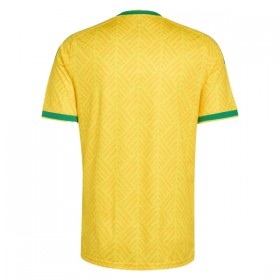 Maillot Afrique Du Sud Domicile Coupe du Monde 2026