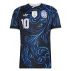Maillot Argentine Messi 10 Exterieur Coupe du Monde 2026