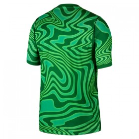Maillot Brésil Gardien Domicile Coupe du Monde 2026 Verte
