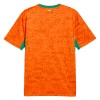 Maillot Côte d Ivoire Domicile Coupe du Monde 2026