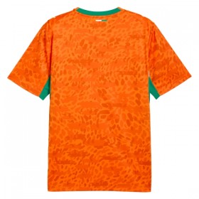 Maillot Côte d Ivoire Domicile Coupe du Monde 2026