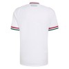 Maillot Hongrie Exterieur Coupe du Monde 2026