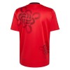 Maillot Manchester United Cultural Story 2025-26