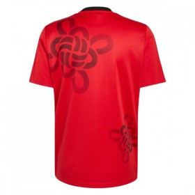 Maillot Manchester United Cultural Story 2025-26