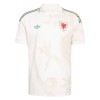 Maillot Pays de Galles Exterieur Coupe du Monde 2026
