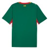 Maillot Sénégal Exterieur Coupe du Monde 2026