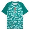 Maillot Portugal Pre-Match Coupe du Monde 2026 Verte Maillot Portugal Pre-Match Coupe du Monde 2026 Verte