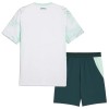 Maillot Autriche Enfant Exterieur Coupe du Monde 2026