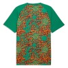 Maillot Côte d Ivoire Pre-Match Coupe du Monde 2026