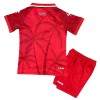Maillot Haiti Enfant Troisieme Coupe du Monde 2026