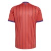 Maillot Écosse Enfant Exterieur Coupe du Monde 2026