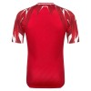 Maillot Tunisie Exterieur Coupe du Monde 2026